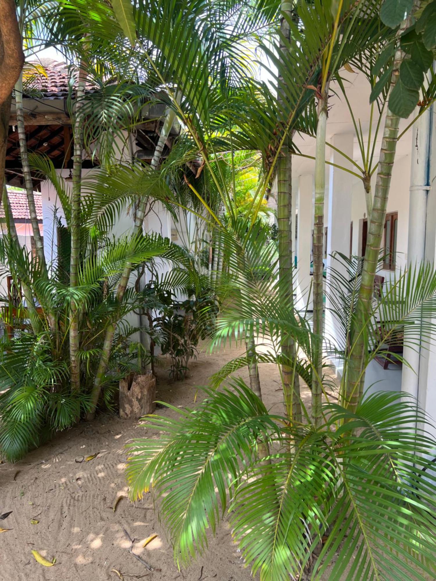 Moxy Bay Arugambay Arugam Bay Exterior foto
