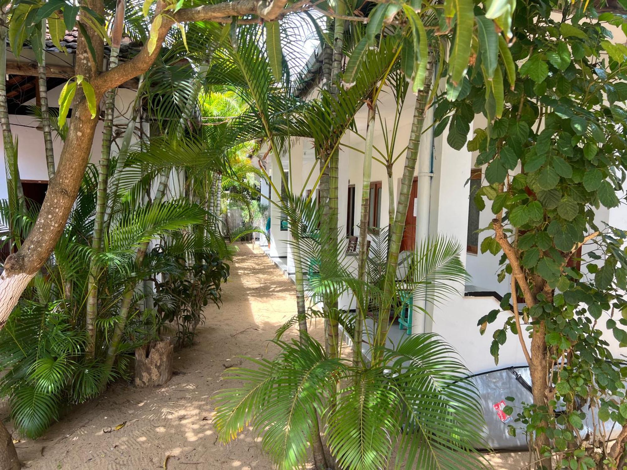 Moxy Bay Arugambay Arugam Bay Exterior foto