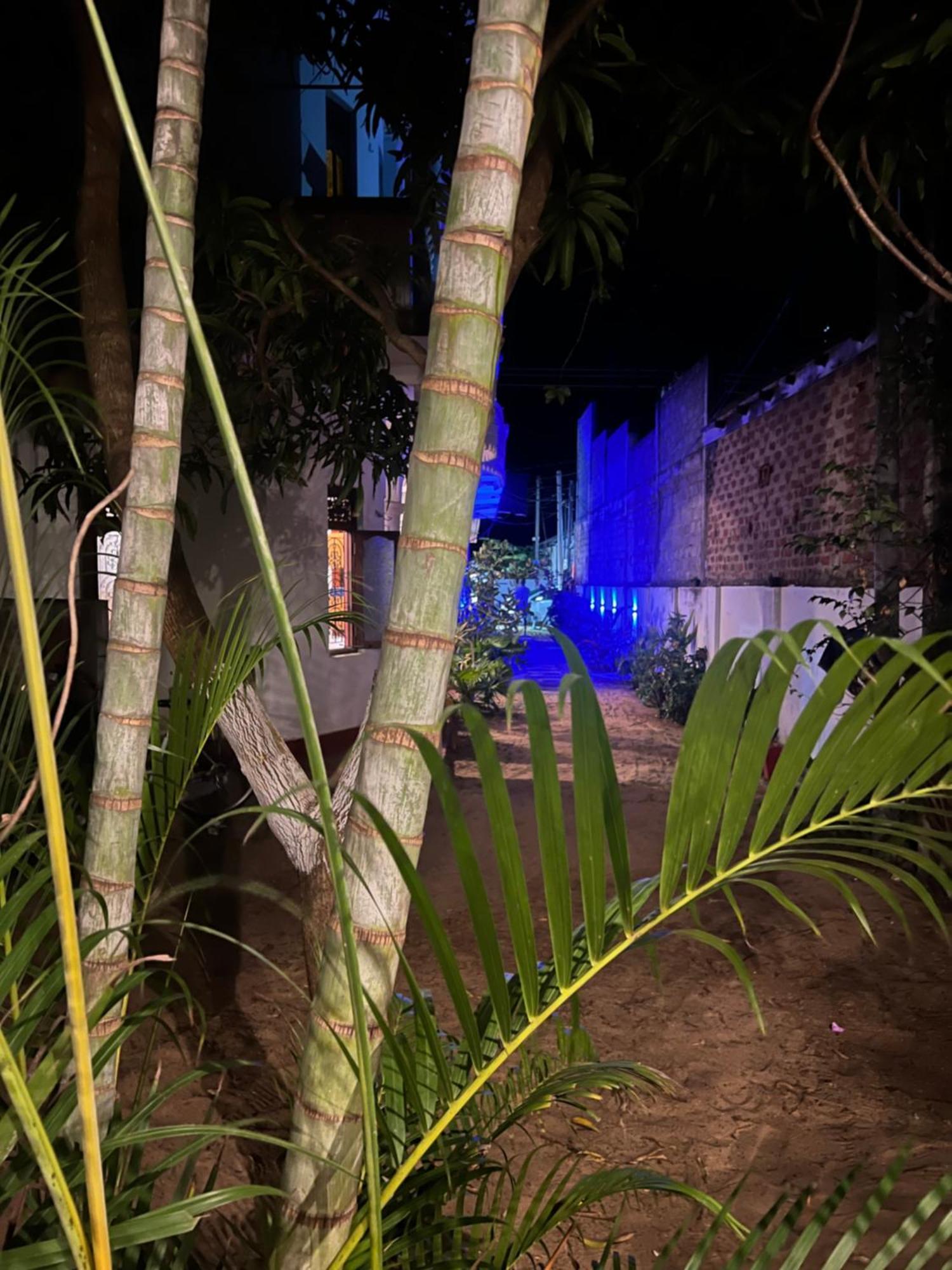 Moxy Bay Arugambay Arugam Bay Exterior foto