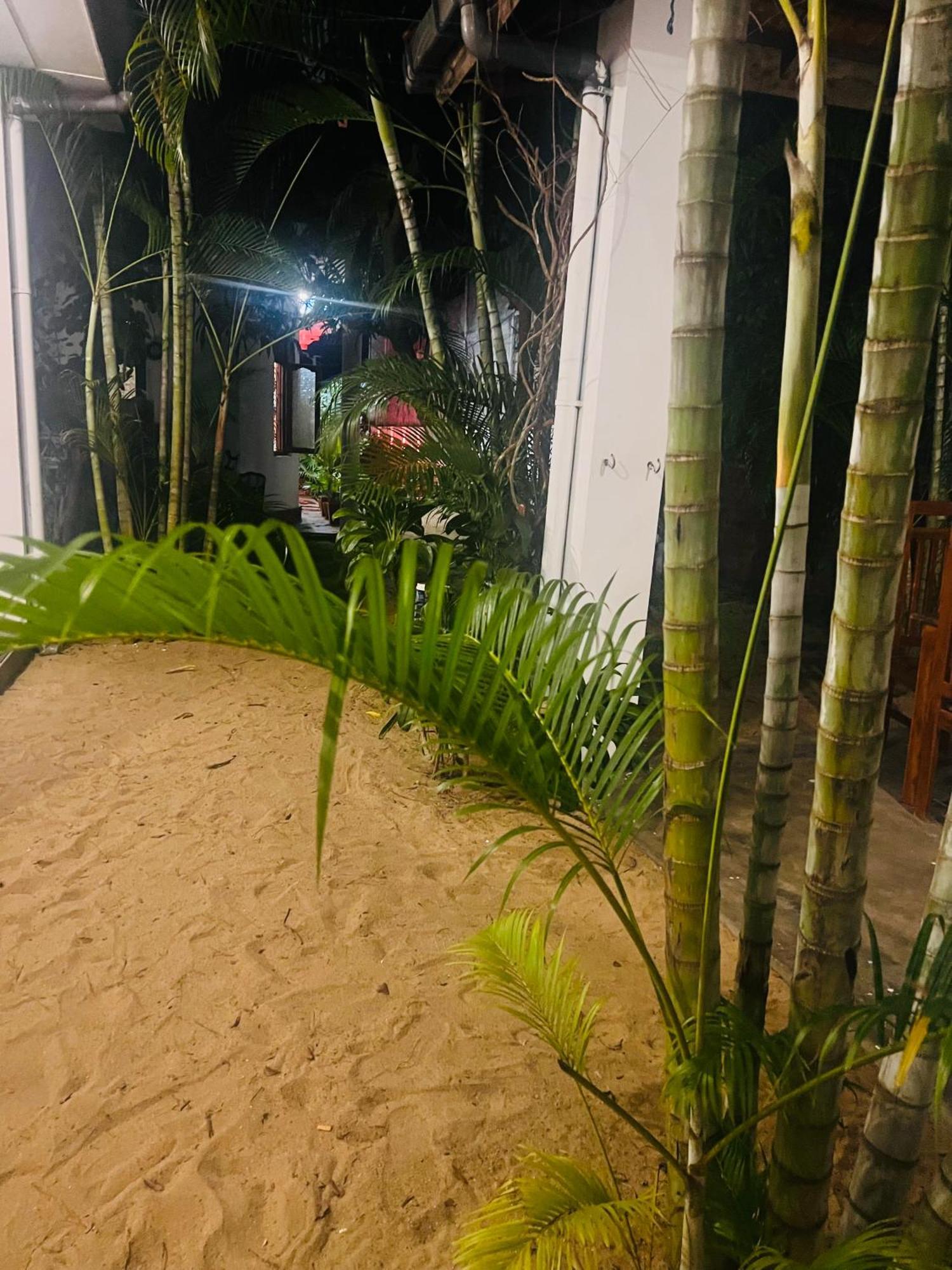 Moxy Bay Arugambay Arugam Bay Exterior foto